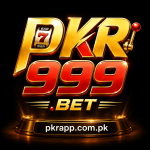 pkr999 online gaming platform features and games