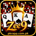 zee9 online gaming platform featuring games, rewards, missions, spins, and user safety information