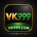 VK999 online gaming platform safety guide, features, games and trust review
