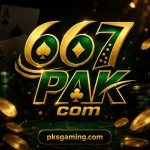 667 online gaming platform safety and trust guide